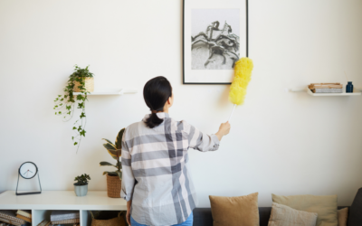 How Often Should You Dust Your House?