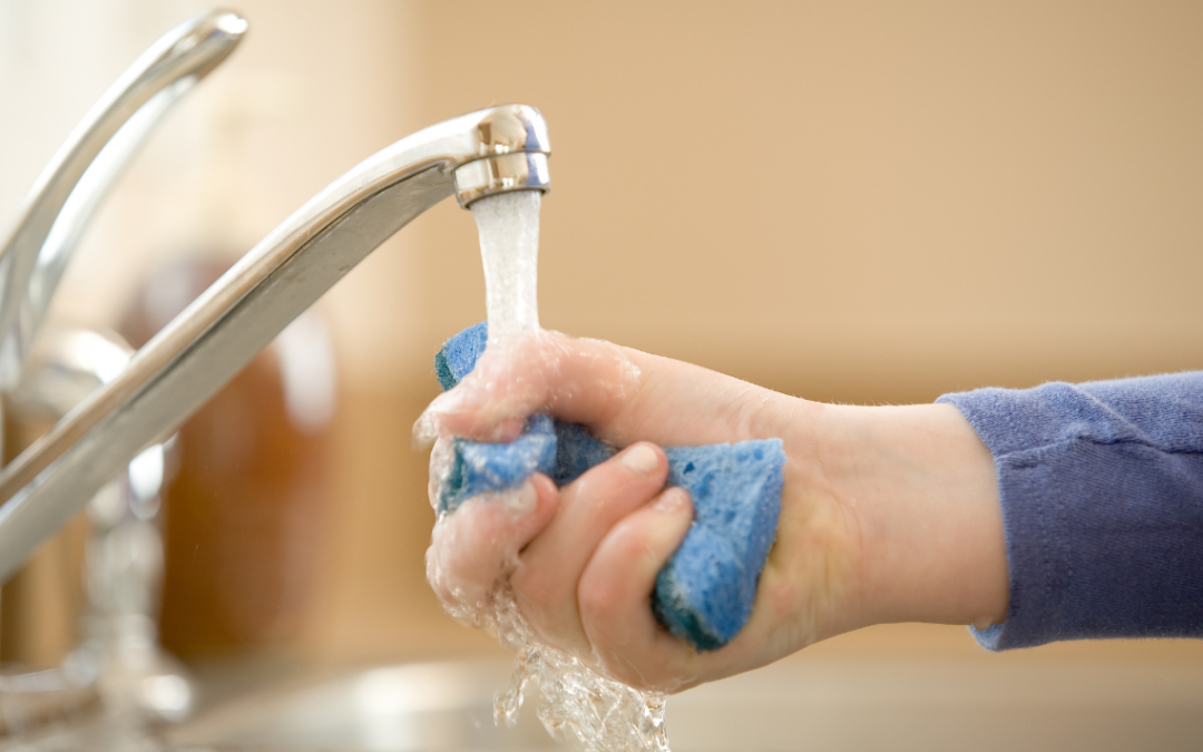 The Different Types of Sponges for Cleaning and When to Use Them